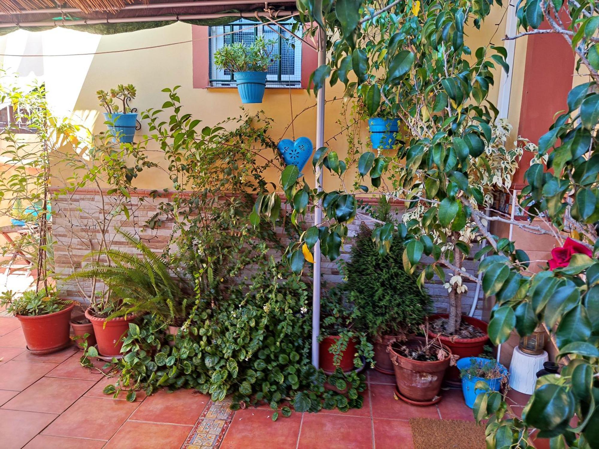 Apartamento Cool Garden Mairena del Aljarafe Luaran gambar