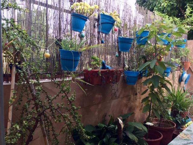 Apartamento Cool Garden Mairena del Aljarafe Luaran gambar