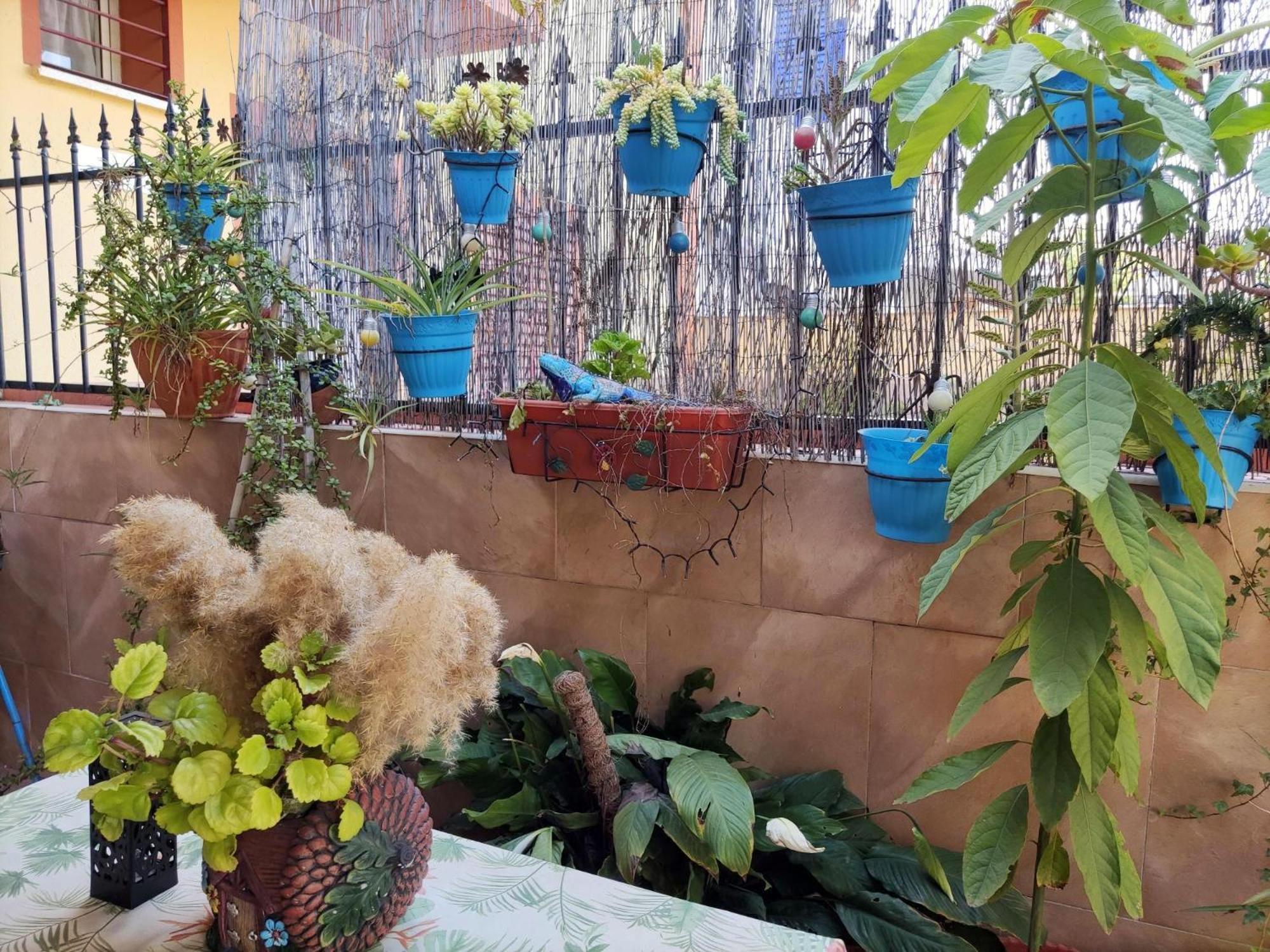 Apartamento Cool Garden Mairena del Aljarafe Luaran gambar